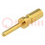 Contact; male; copper alloy; gold-plated; 24AWG÷20AWG; crimped