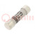 Fuse: fuse; gG; 12A; 400VAC; cylindrical,industrial; 8x31mm
