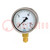 Manometer; 0÷1,6bar; Klasse: 1; 100mm; 80°C; IP54; 212.20