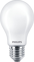 Philips Lampadina smerigliata a filamento 100 W A60 E27