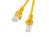 Lanberg PCU6-10CC-1000-O kabel sieciowy Pomarańczowy 10 m Cat6 U/UTP (UTP)