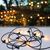 Paulmann Plug & Shine Guirlande lumineuse décorative 7 ampoule(s) LED 2 W