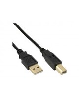 InLine USB-Kabel USB M bis Type B M 2.0 30 cm Schwarz