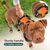 BLUZELLE Dog Harness for Small Dogs, Reflective Dog Vest Padded Pet Coat, Adjustable Chest Harness with Training Handle & Pocket for GPS Tracker Tag, No Pull Anti Pull Harness, ...