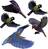 Gardigo Stickers Native Birds Ablakkép Funkcióelv Elriasztás 1 db