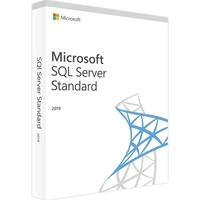 Microsoft SQL Server 2019 Standard (16 Core)