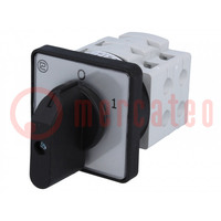 Switch: cam switch; Stabl.pos: 2; 25A; 0-1; for building in; 7.5kW