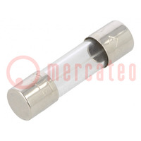 Fuse: fuse; time-lag; 6.3A; 250VAC; cylindrical,glass; 5x20mm