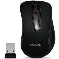 Canyon CNE-CMSW2 myszka RF Wireless Optyczny 800 DPI Po prawej stronie
