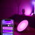 Philips Hue White and Color ambiance Lampe à poser Bloom