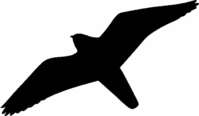 Vogel-Aufkleber - Schwarz, 30 cm, Kunststofffolie, Selbstklebend, Motiv 2