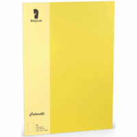 Briefpapier Coloretti A4 80g/qm VE=10 Blatt goldgelb
