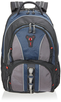 Cobalt 16" Backpack