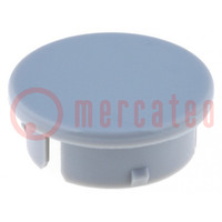 Cap; polyamide; grey; 21mm; -20÷70°C; G21