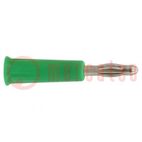 Plug; 4mm banana; 36A; green; nickel plated; on cable; -20÷80°C
