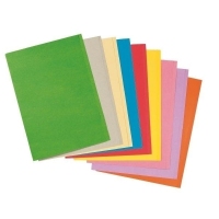 Esselte Cardboard Folder Chamois 180 g/m2 Meerkleurig A4
