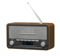 Denver DAB-18 radio Persoonlijk Analoog & digitaal Zwart, Grijs