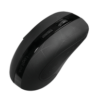 LogiLink ID0171 mouse Mano destra RF Wireless Ottico 1600 DPI