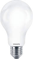 Philips Lampadina smerigliata a filamento 120 W A67 E27