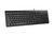 A4Tech Comfort Key Keyboard teclado USB + PS/2 QWERTY Inglés Negro