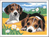 Ravensburger CreArt Jack Russell Puppy Colore per kit di verniciatura in base ai numeri