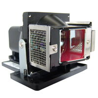 VIVITEK D330WX Module de lampe de projecteur (ampoule d'origine à l'int&e