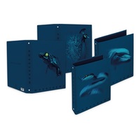 Gyűrűs könyv Pigna Monocromo Blue A/4 4 gyűrűs 40 mm gerinccel