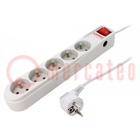 Plug socket strip: protective; Sockets: 5; 250VAC; 10A; grey