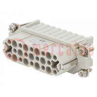 Connector: HDC; female; HD; PIN: 25; 25+PE; size 5; w/o contacts; 10A