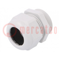 Cable gland; PG29; IP68; polyamide; light grey; UL94V-0; HSK-K