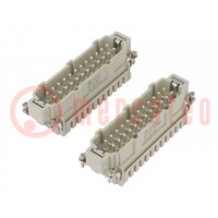 Connector: HDC; contactinzetstuk; mannelijk; DE; PIN: 48; 48+PE