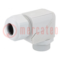 Cable gland; angular; PG11; IP68; polyamide; grey; HSK-W