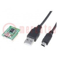 Dev.kit: Microchip; USB A-USB B mini cable,prototype board
