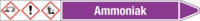 Rohrmarkierer mit Gefahrenpiktogramm - Ammoniak, Violett, 2.6 x 25 cm, Seton
