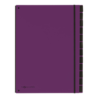 Pagna 24129-12 separador Púrpura Cartón, Polipropileno (PP) A4