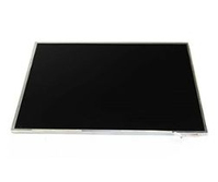 Toshiba P000606000 laptop spare part Display