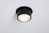 Paulmann Gil Coin Spot d'éclairage de surface Noir, Fer brossé LED G
