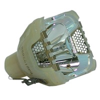 SANYO PLC-SU25 Solo lampadina originale