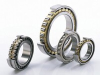NN3007-AS-K-M-SP Precision Cylindrical Double Row Roller Bearings