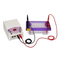 Elektrophoresepaket MSMIDI96-PP300 | Typ: MSMIDI96-PP300-Set