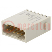 Connector: HDC; module; mannelijk; Han-Modular®; PIN: 12; 10A; 250V