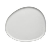 RAW - ARCTIC WHITE - ORGANIC DINNER PLATE - 1 PCS (16039) AIDA