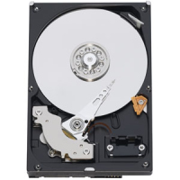 Western Digital Caviar Blue, 1TB 3.5" SATA