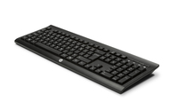 HP K2500 toetsenbord RF Draadloos Zwart