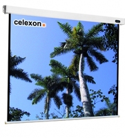 Celexon 1090087 Projektionsleinwand 1:1