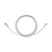 PNY C-TC-LN-W01-10 lightning cable 3 m White