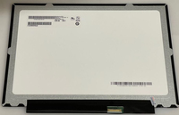 CoreParts MSC1202K00-134G ricambio per laptop Display