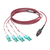 Tripp Lite N845-02M-8L-MG Cable de Fibra Óptica 40G MTP/MPO a 8xLC Multi Conector OM4 Especificación Plenum, 40GBASE-SR4, Pestañas Oprimir y Jalar [Push/Pull], Magenta, 2M [6.56...