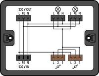 Verteilerbox, Einführungen: 1, schwarz, IP20, 899-631/308-000