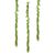 Maidenhair fern garland